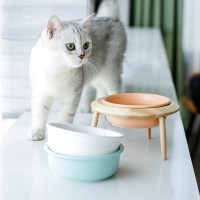 personalized pet water bowl/feeding bowls for pet